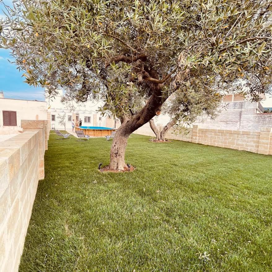 مبيت وإفطار مونتالبانو U Ceccenate المظهر الخارجي الصورة